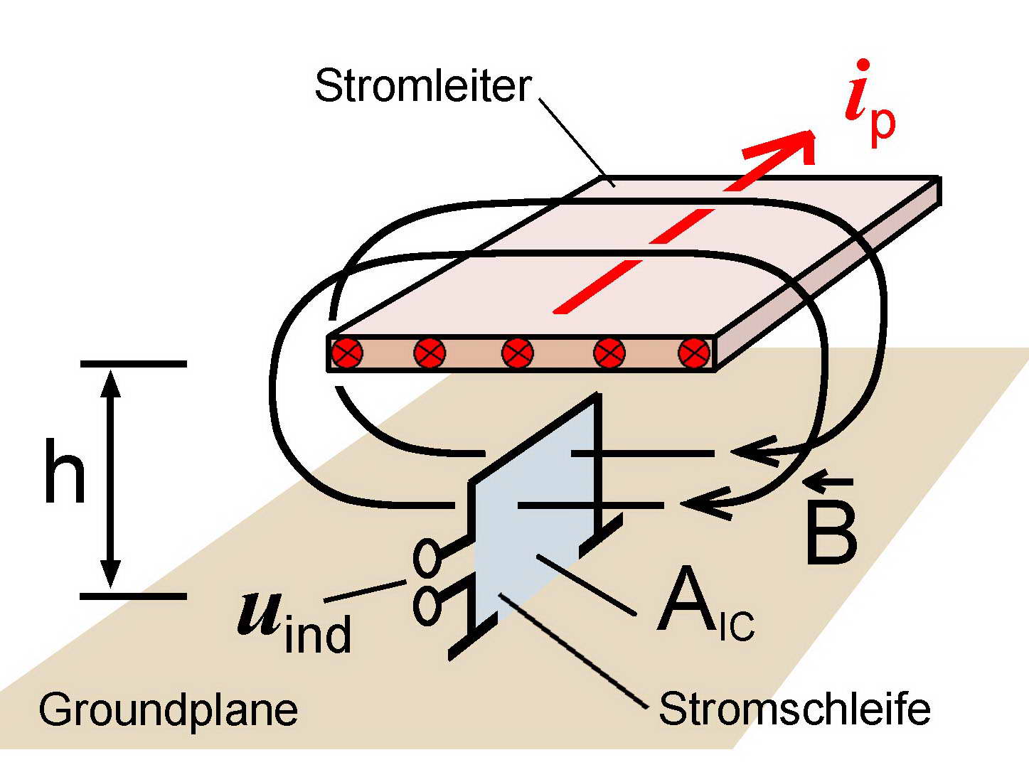 Wirkprinzip der Feldeinkopplung in die Leiterschleife eines Test-ICs. Der Stromleiter der P1202-4 erzeugt aus dem EFT-Strom iP des EFT/Burst Generators das Prüfmagnetfeld B.
Das erzeugte Feld entspricht dem in der Praxis wirkenden störrelevanten Feld. Es ist parallel zur Groundplane der Elektronik gerichtet.